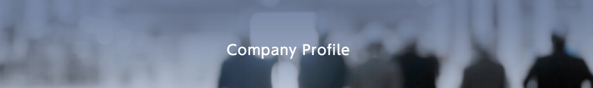 Company Profile