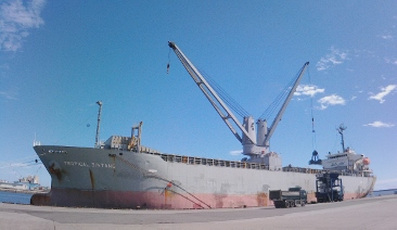 The unloading process of Palm Kernel Shell (PKS)