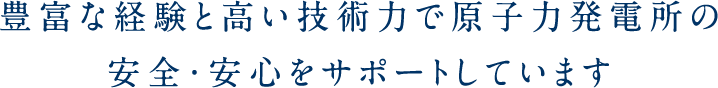 豊富な経験と高い技術力で原子力発電所の
安全・安心をサポートしています